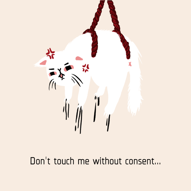 This kitty requires consent.